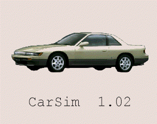 CarSim Image