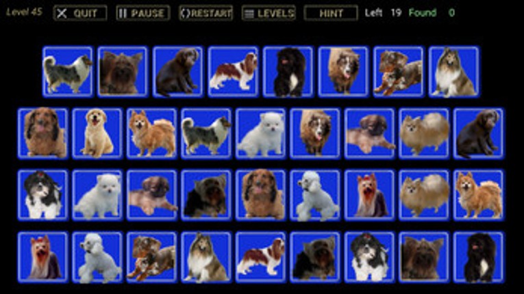 Find That One Game screenshot