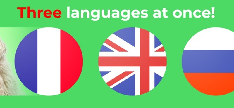 Flashcards. Animal sounds. ABC Image