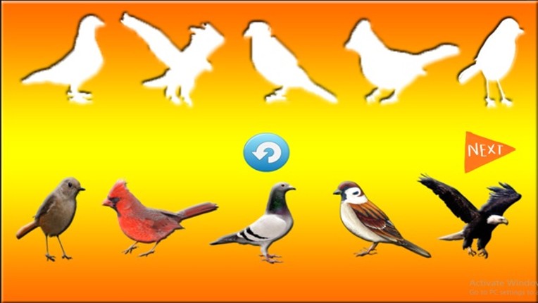 Fun Learning Birds Stencil for Kids screenshot