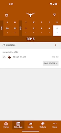 Texas Longhorns Image