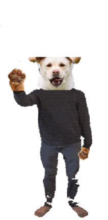 Dahgi's Basics In Being  a Dog And Math Image