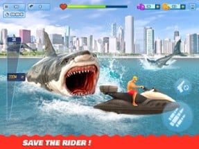 Shark Hunting Games: Sniper 3D Image