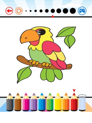 Bird Coloring Book - Activities for Kid Image