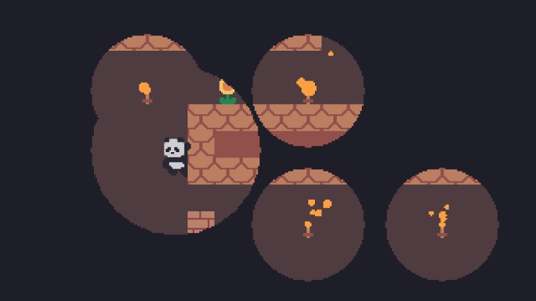 CoderBear screenshot