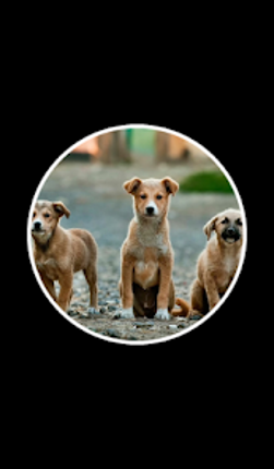 22 Clues: Word Game Image