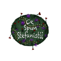 Ce spun Stefanistii? 2023 Image