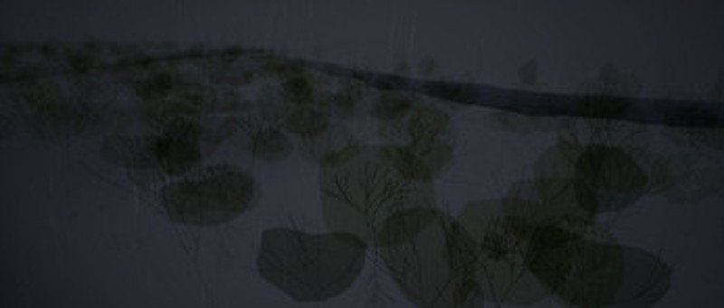 erLett screenshot