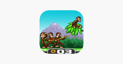 Monkey Flight Image