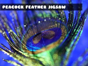 Peacock Feather Jigsaw Image