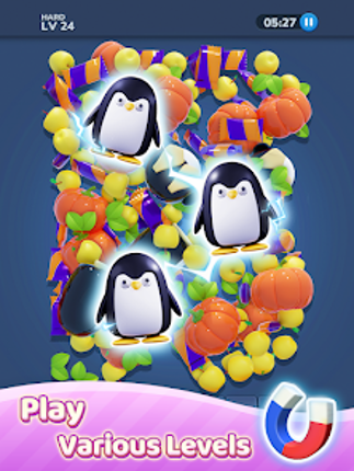 Match Hunter: Triple Clear Image