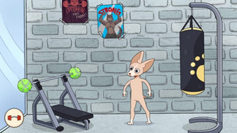 Chihuahua Champ screenshot