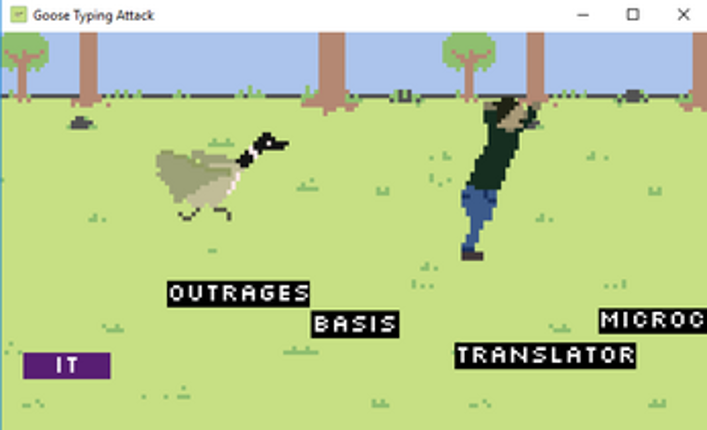 Goose Typing Attack Image