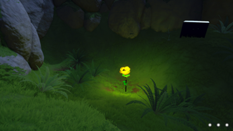 Petal Of The Quiet Image