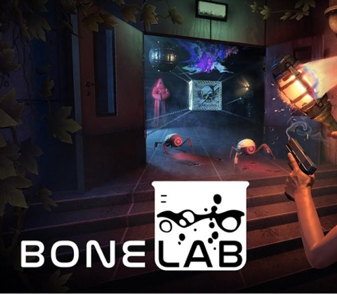 Bonelab Image