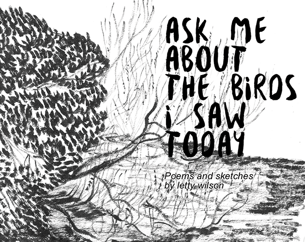Games like Ask me About the Birds I saw Today PDF