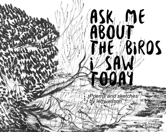 Ask me About the Birds I saw Today PDF Game Cover