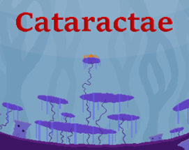 Cataractae Image