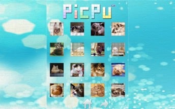 PicPu Cat Puzzle Image