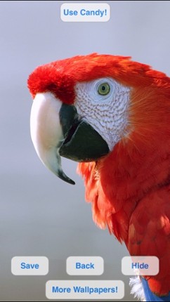 Cute Pets Slideshow & Wallpapers (HD) screenshot