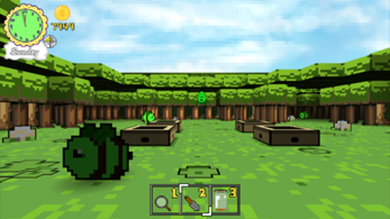 Bee Island Image