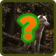 Guess The Animal game Image