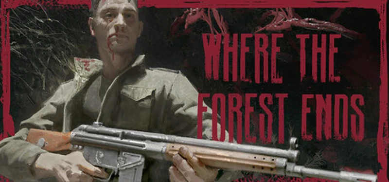 Where the forest ends Image