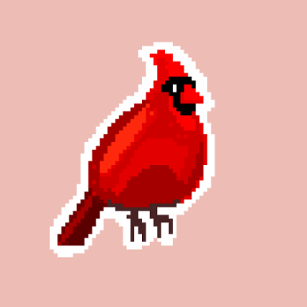Breaking News | Live | A Disagreement Among Cardinals Image