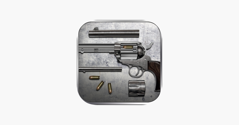 Colt: the Ryo Saeba's Pistol, Shooting & Hunting Trivia Game - Lord of War Image