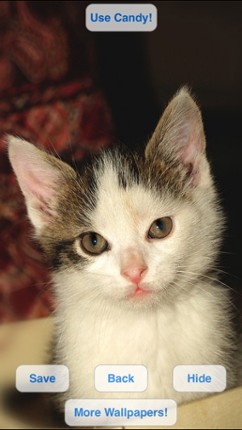 Cute Pets Slideshow & Wallpapers (HD) screenshot