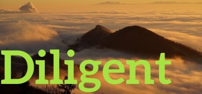Diligent Image