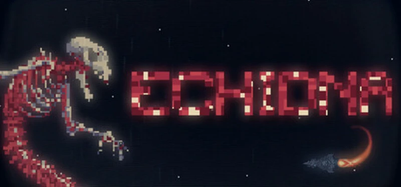 ECHIDNA Image