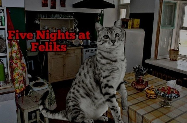 Five Night At Feliks Image