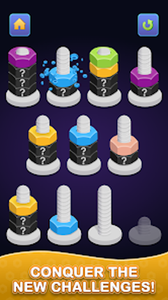 Nuts & Bolts - Color Sort Game screenshot