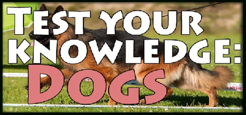 Test your knowledge: Dogs Game Cover