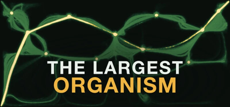 The Largest Organism Image