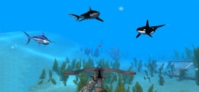 VR Ocean Aquarium 3D Image