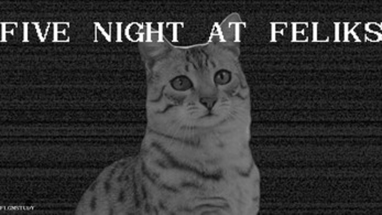 Five Night At Feliks Image