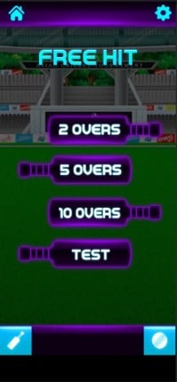 Knock Knock Cricket 2019 screenshot