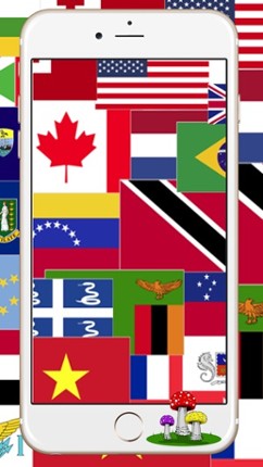 National Country Flags of The World Map Quiz Image