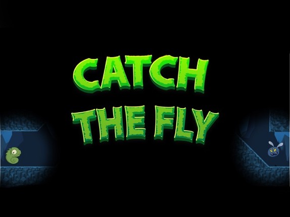 Catch The Fly Game screenshot