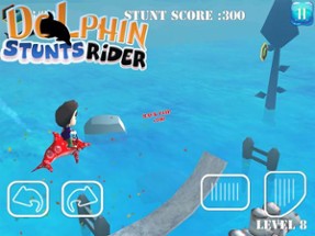 Dolphin Stunt Rider Image