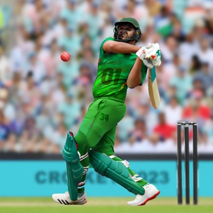 Real World: Cricket Games 3D Image