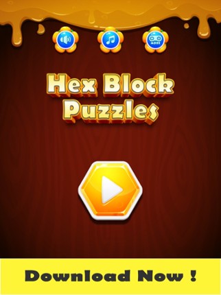 Hex Block Puzzles Image