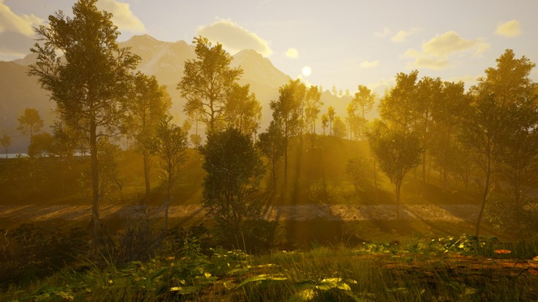 Island Paradise screenshot