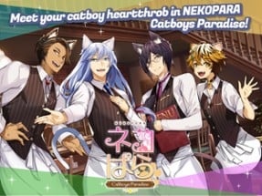 NEKOPARA - Catboys Paradise Image