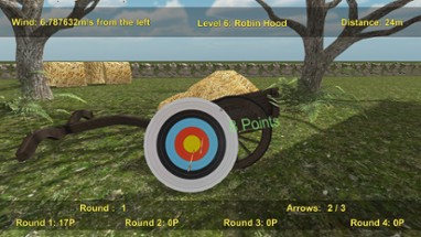 Precision Archery: Competitive Image