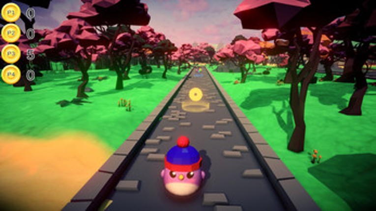 Bird Run Image