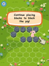 Block the Pig Image