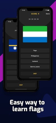 Flags Quiz - Learn World Flags screenshot